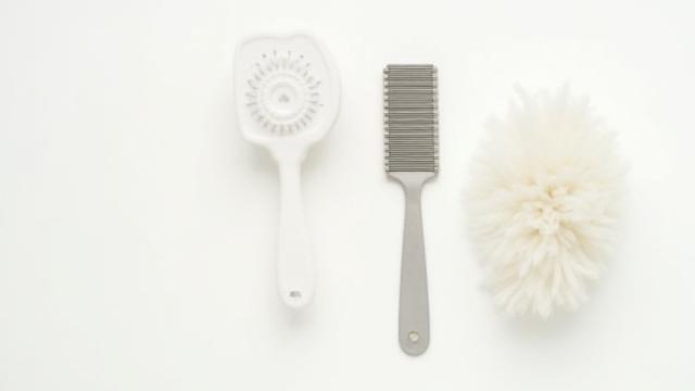 Slicker brush and metal comb for curly-coated dogs like Poodles and Bichon Frise